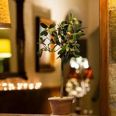 Fanaras קלבריטה