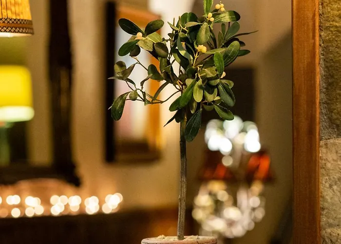 Fanaras 칼라브리타